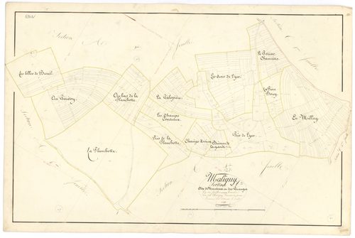 Maligny - Section A3 - 3 P PLAN 371/4