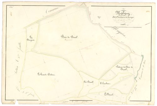 Maligny - Section A6 - 3 P PLAN 371/7