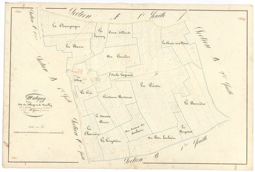 Maligny - Section B1 - 3 P PLAN 371/8