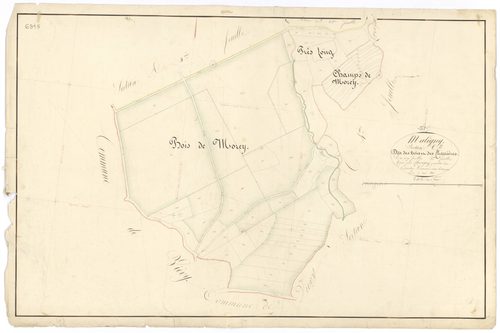 Maligny - Section C5 - 3 P PLAN 371/17