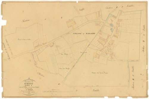 Marliens - Section C1 - 3 P PLAN 387/13