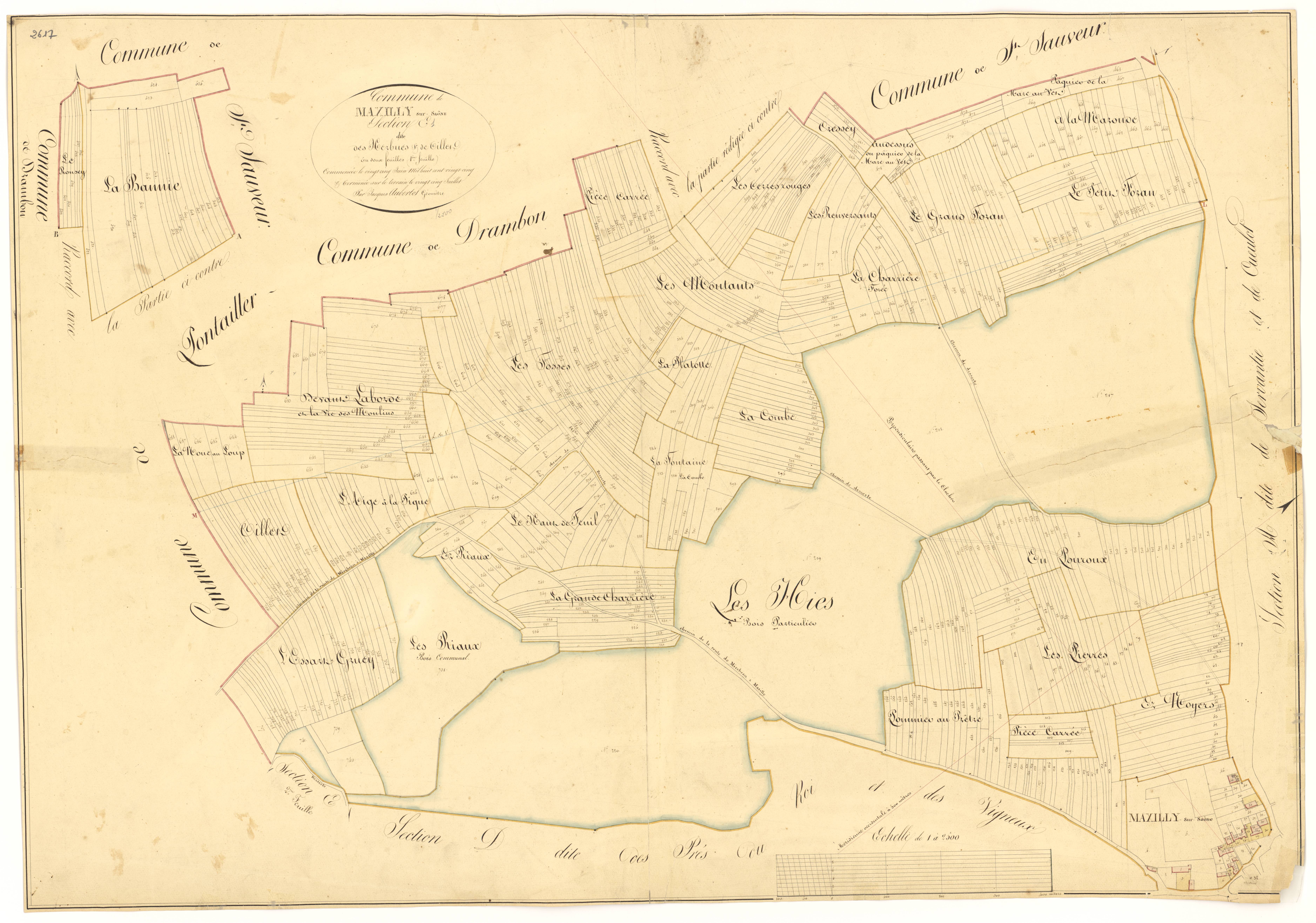 Maxilly-sur-Saône - Section E1 - 3 P PLAN 397/6