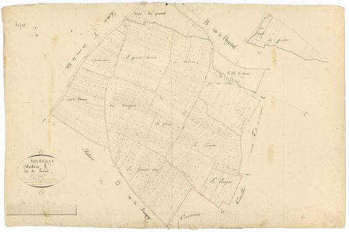Meursault - Section C1 - 3 P PLAN 411/5
