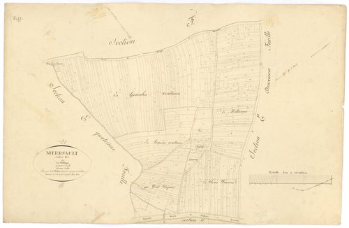 Meursault - Section E3 - 3 P PLAN 411/10
