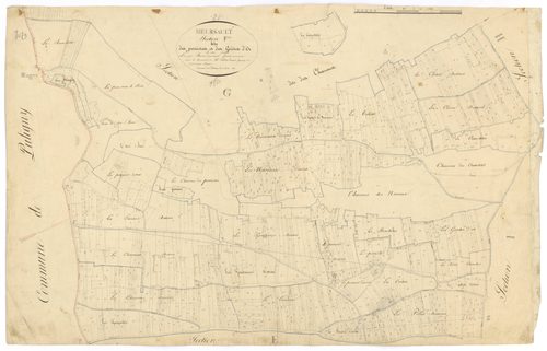Meursault - Section F - 3 P PLAN 411/12