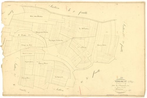 Mirebeau-sur-Bèze - Section D1 - 3 P PLAN 415/21