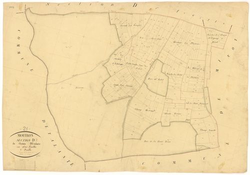 Moitron - Section D2 - 3 P PLAN 417/10