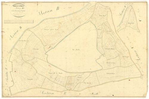 Molesme - Section D - 3 P PLAN 418/11