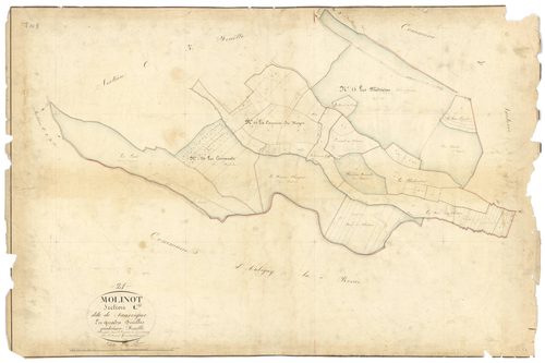 Molinot - Section C4 - 3 P PLAN 419/15