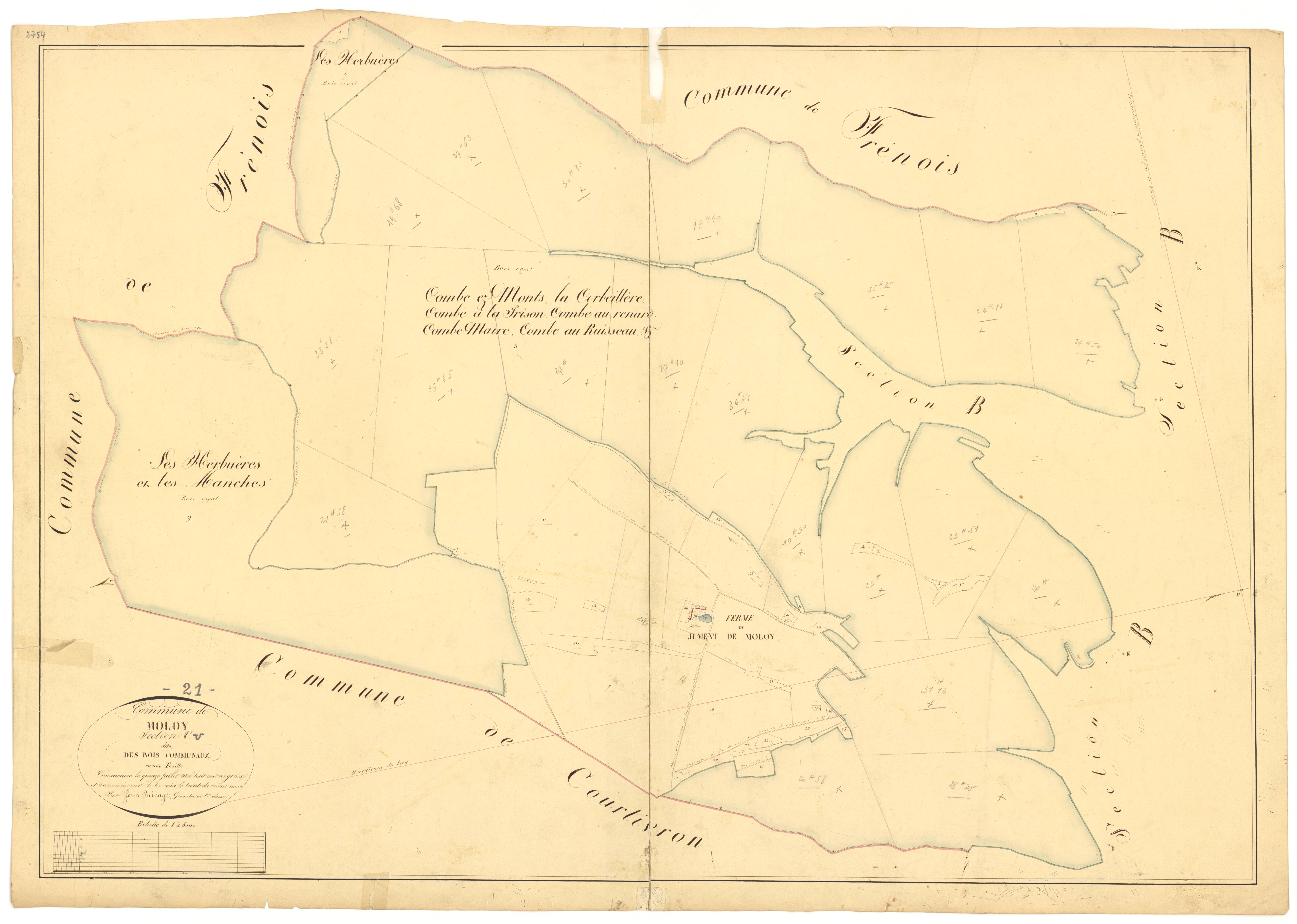 Moloy - Section C - 3 P PLAN 420/6