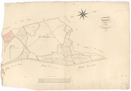 Molphey - Section A - 3 P PLAN 421/2