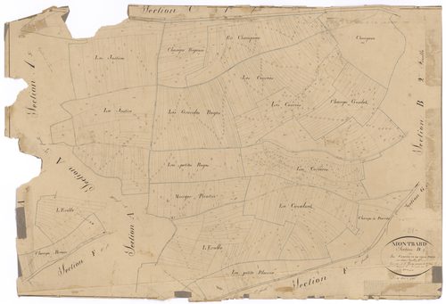 Montbard - Section B1 - 3 P PLAN 424/6