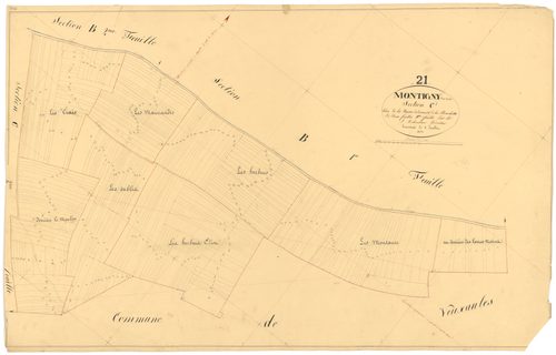 Montigny-sur-Aube - Section C1 - 3 P PLAN 431/11
