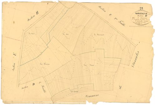 Montigny-sur-Aube - Section D1 - 3 P PLAN 431/13
