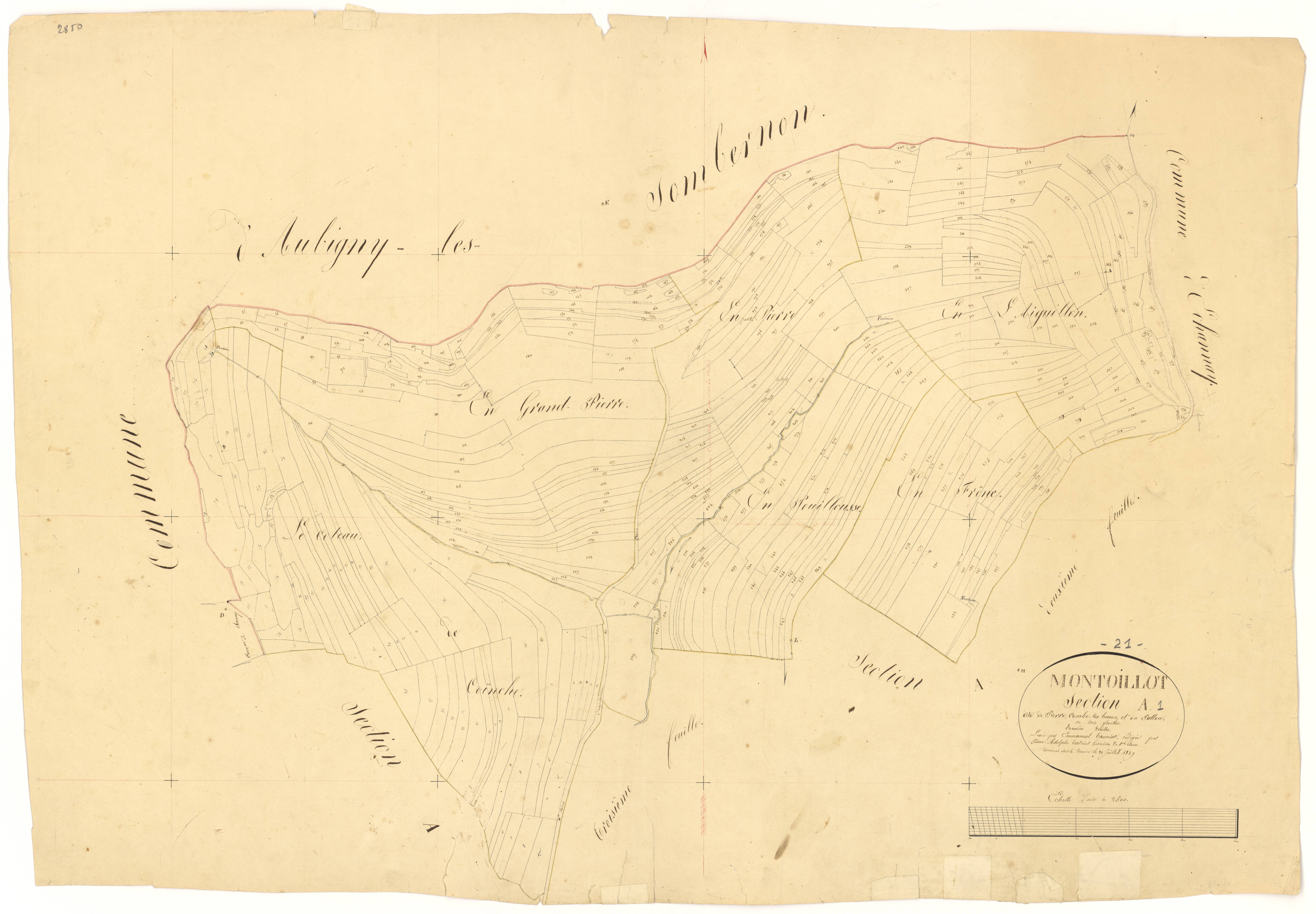 Montoillot - Section A1 - 3 P PLAN 438/2