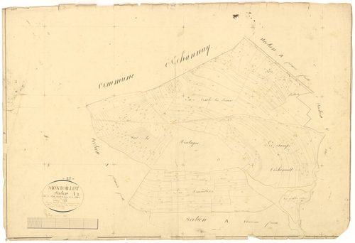 Montoillot - Section A2 - 3 P PLAN 438/3