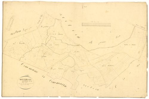 Montoillot - Section B2 - 3 P PLAN 438/6