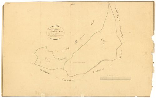 Montoillot - Section C - 3 P PLAN 438/7