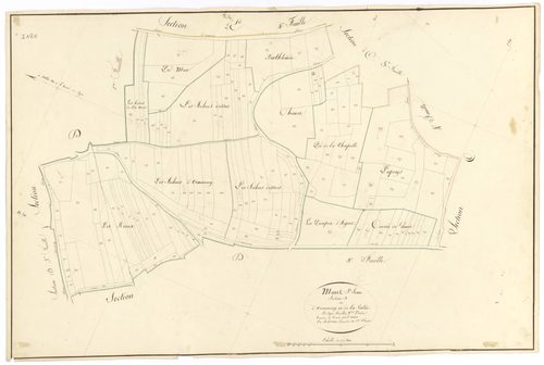 Mont-Saint-Jean - Section D2 - 3 P PLAN 440/17