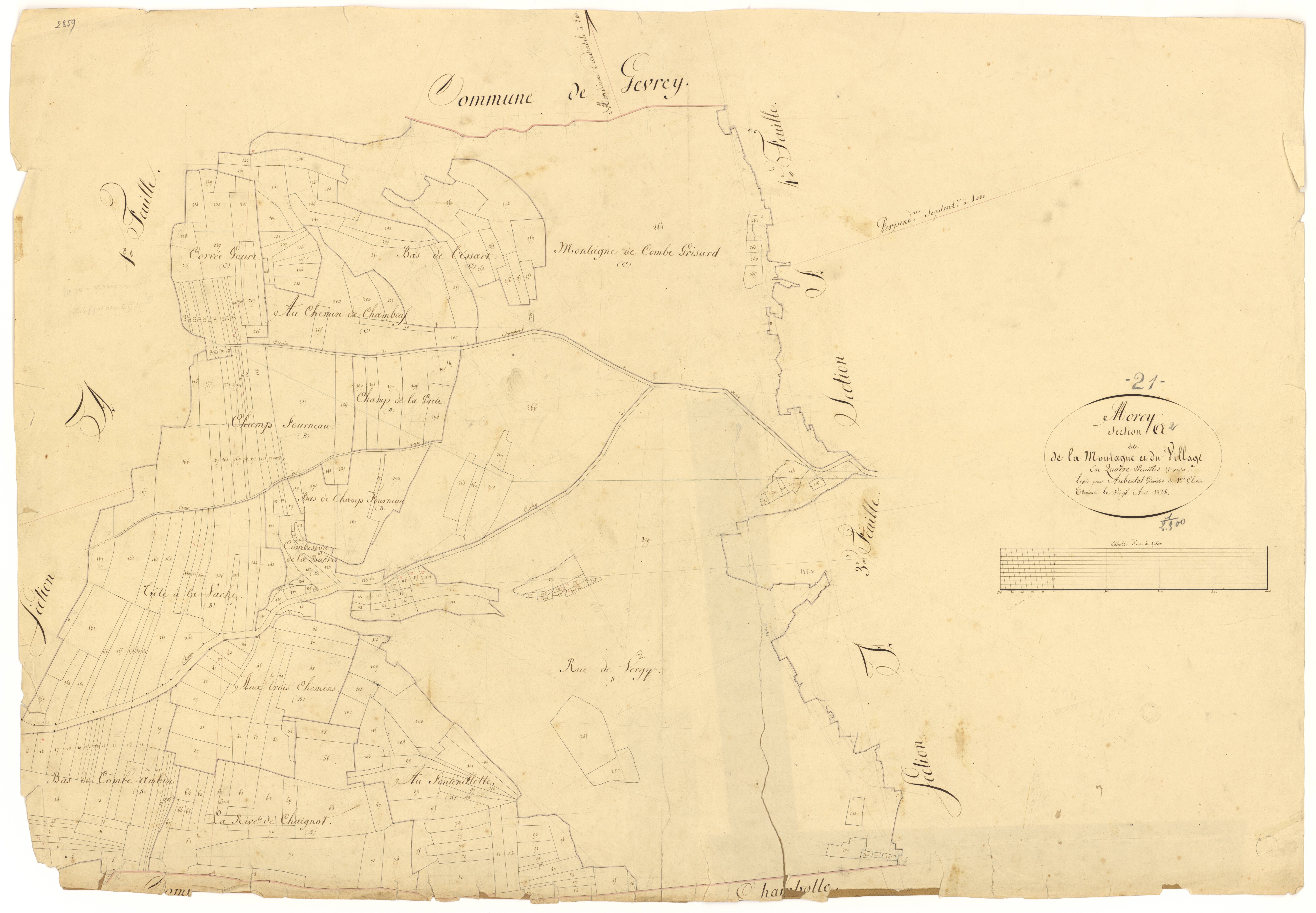 Morey-Saint-Denis - Section A2 - 3 P PLAN 441/3