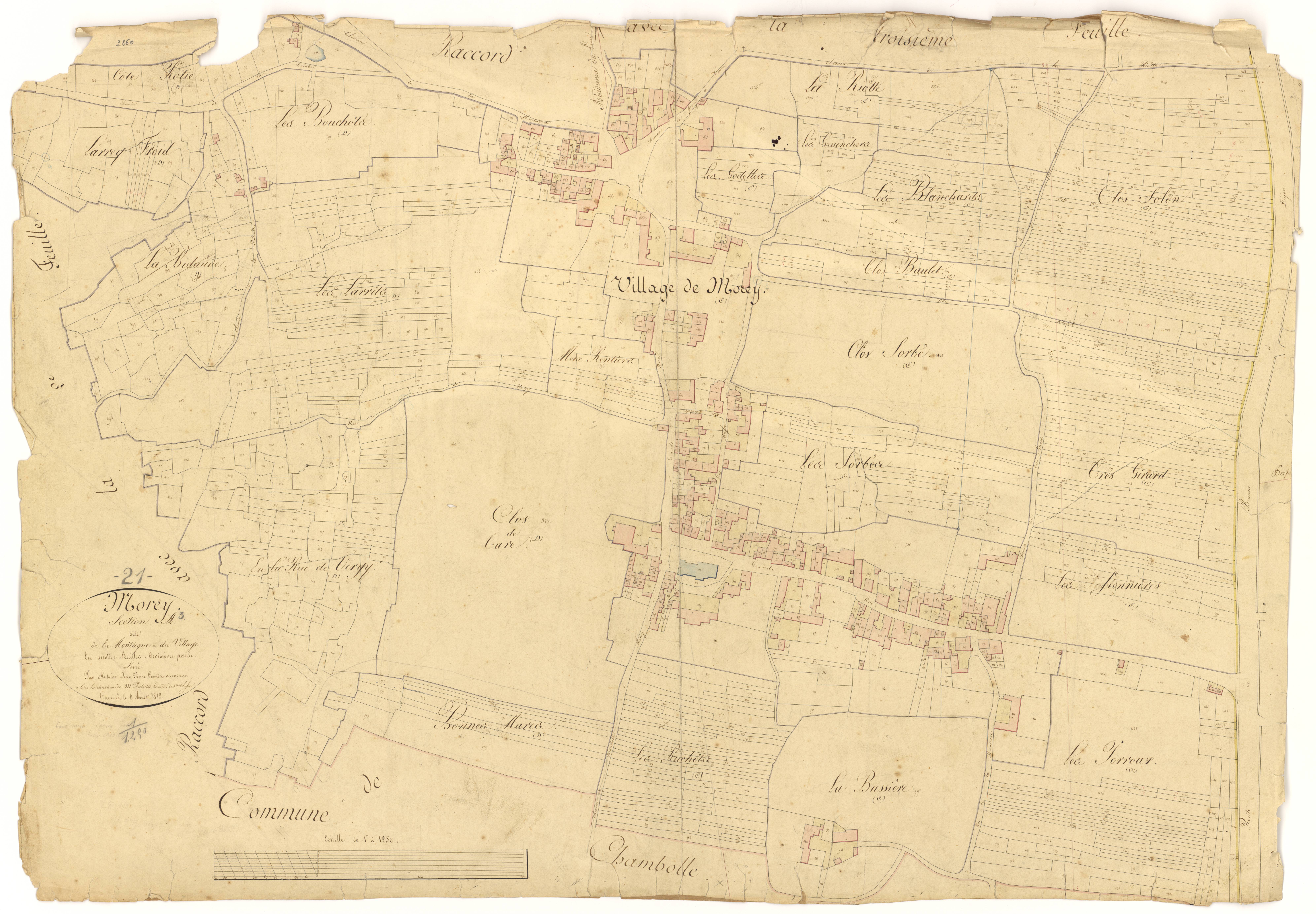 Morey-Saint-Denis - Section A3 - 3 P PLAN 441/4