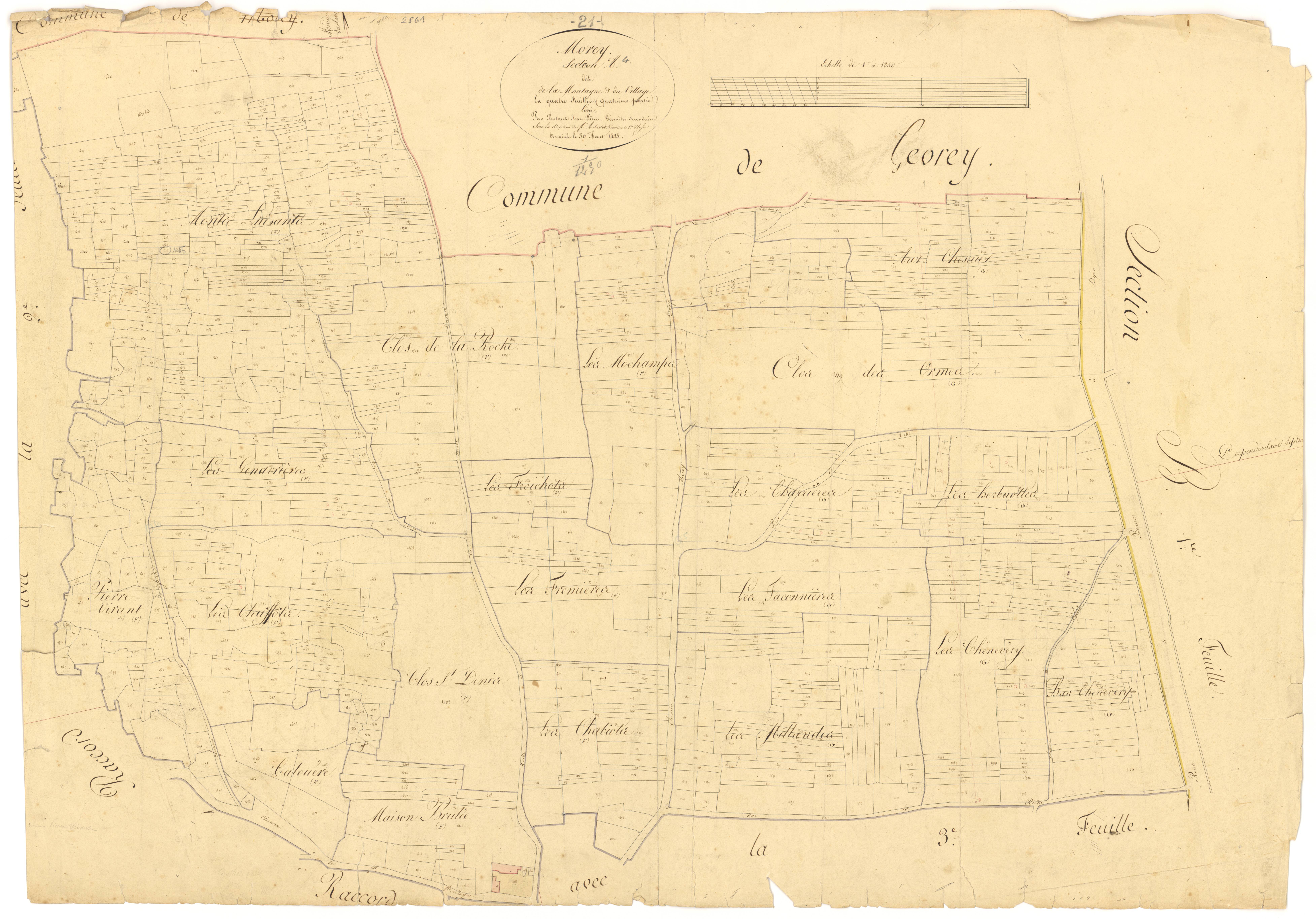 Morey-Saint-Denis - Section A4 - 3 P PLAN 441/5