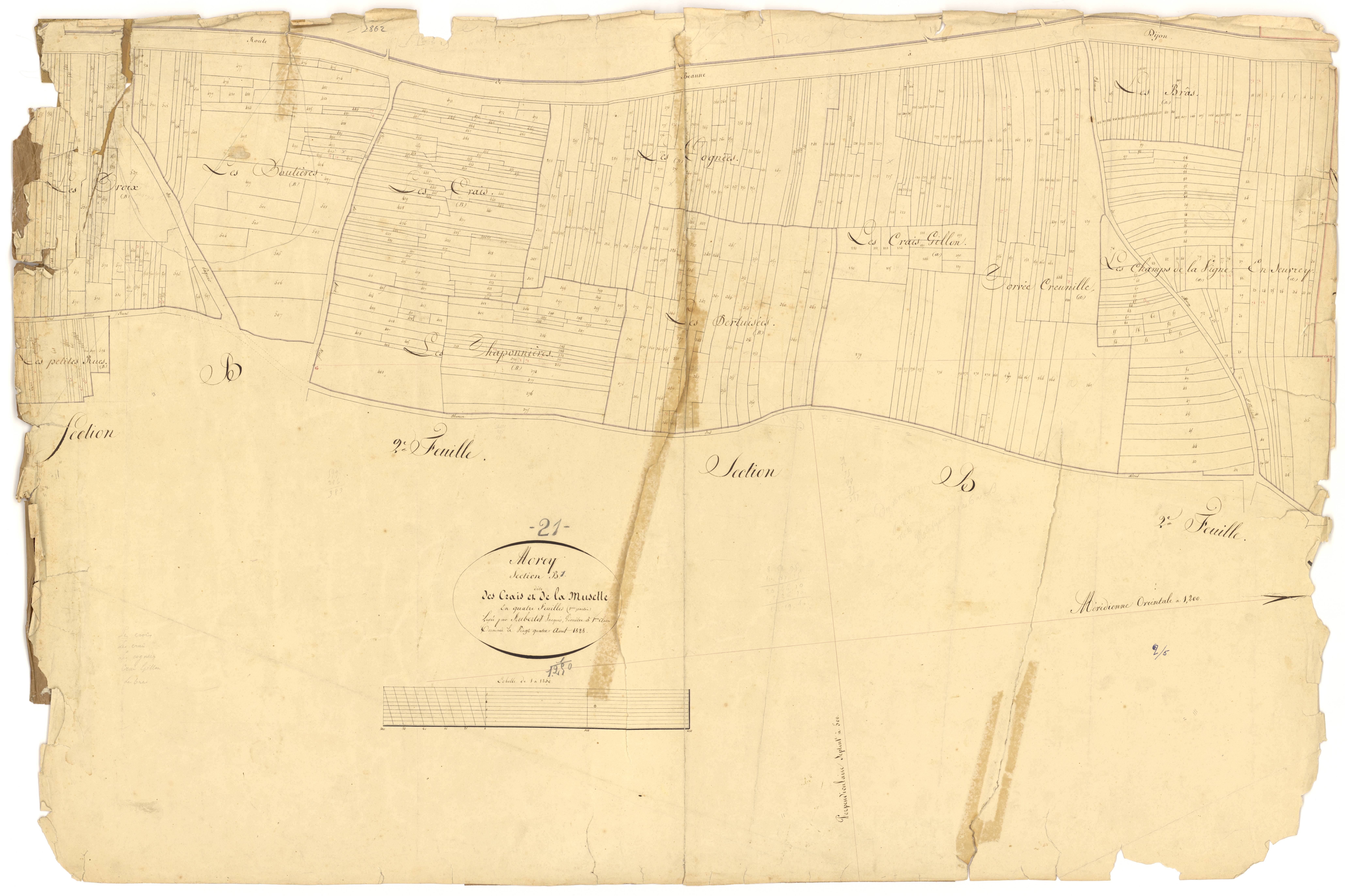 Morey-Saint-Denis - Section B1 - 3 P PLAN 441/6