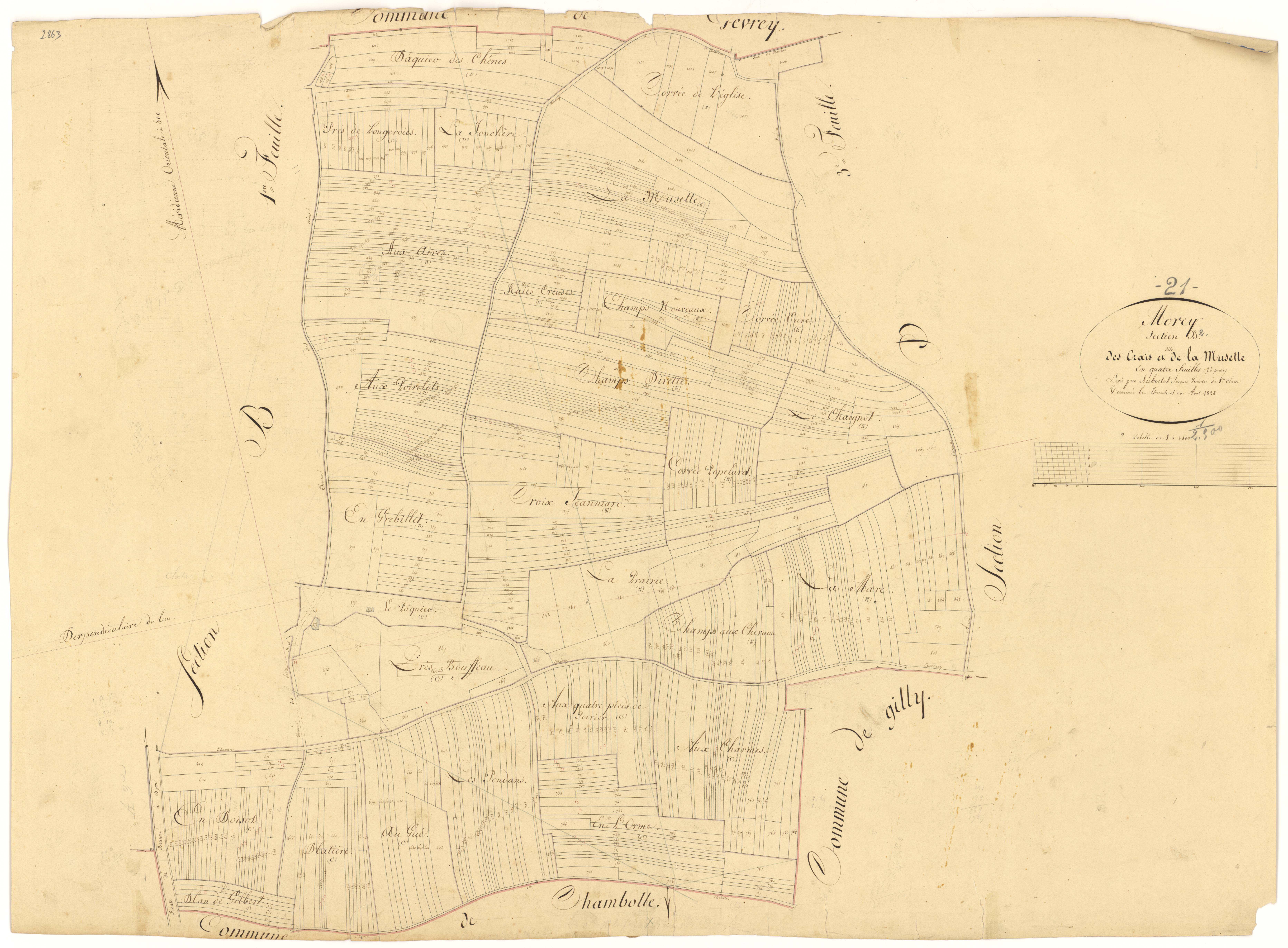 Morey-Saint-Denis - Section B2 - 3 P PLAN 441/7