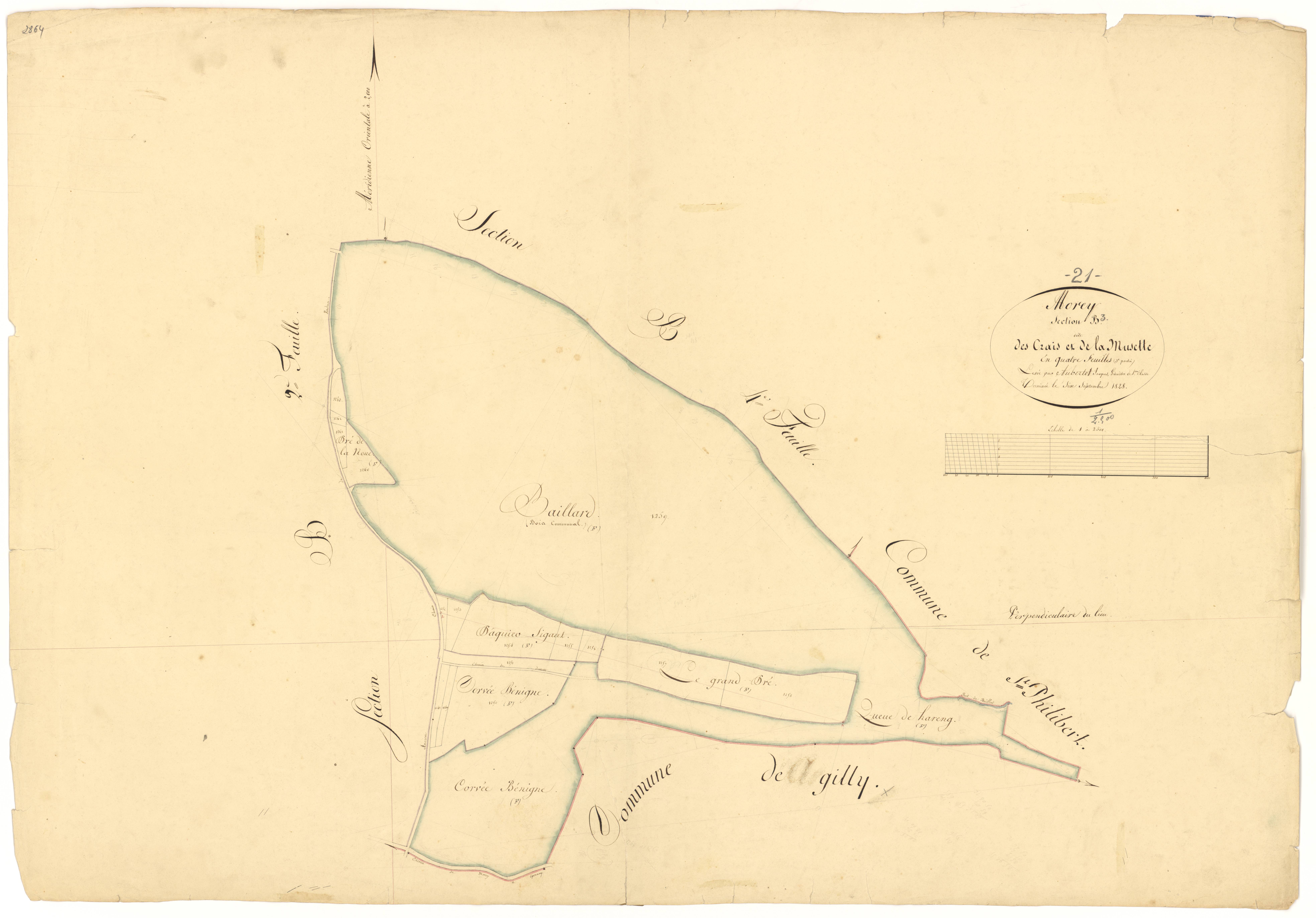 Morey-Saint-Denis - Section B3 - 3 P PLAN 441/8