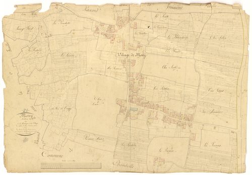 Morey-Saint-Denis - Section A3 - 3 P PLAN 441/4