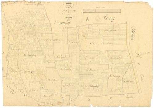 Morey-Saint-Denis - Section A4 - 3 P PLAN 441/5