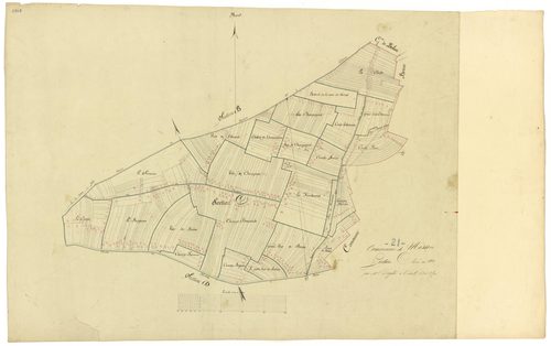 Mosson - Section C - 3 P PLAN 443/3