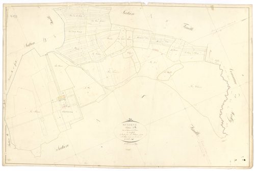 Musigny - Section A2 - 3 P PLAN 446/3