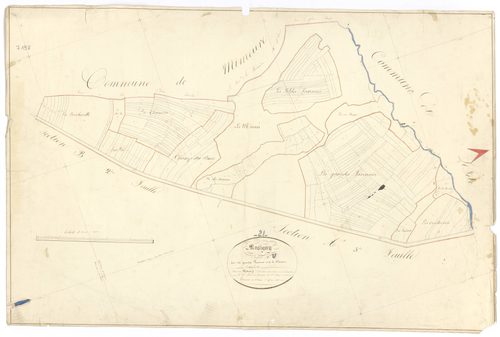 Musigny - Section C - 3 P PLAN 446/8