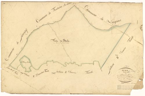 Nesle-et-Massoult - Section E3 - 3 P PLAN 450/14