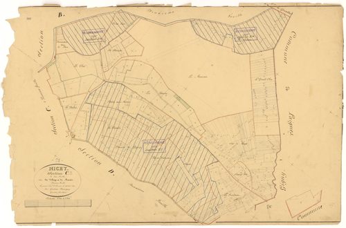 Nicey - Section C2 - 3 P PLAN 453/8