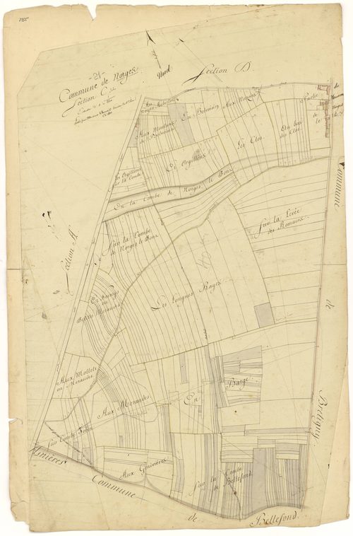 Norges-la-Ville - Section C - 3 P PLAN 461/4