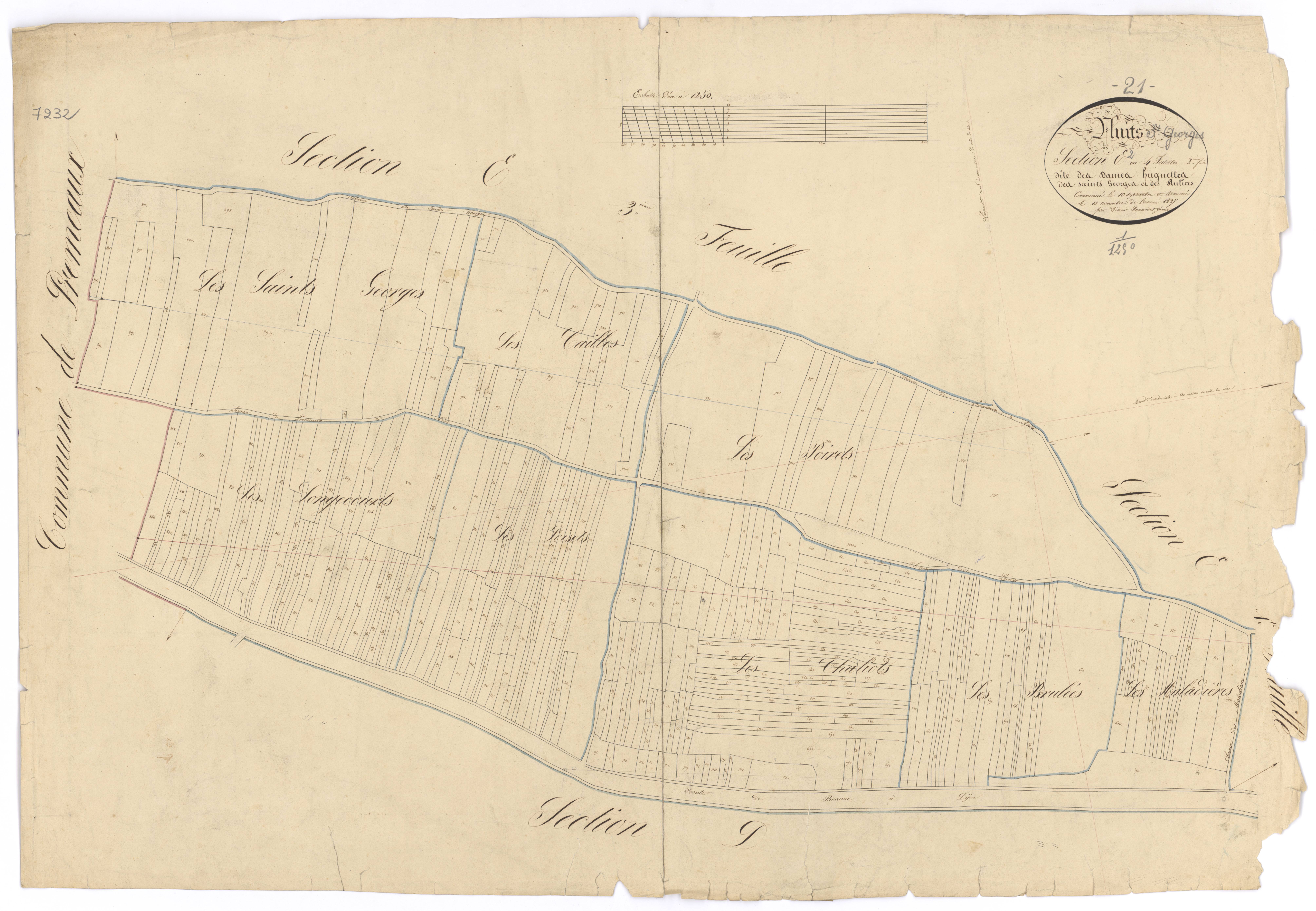 Nuits-Saint-Georges - Section E2 - 3 P PLAN 463/11