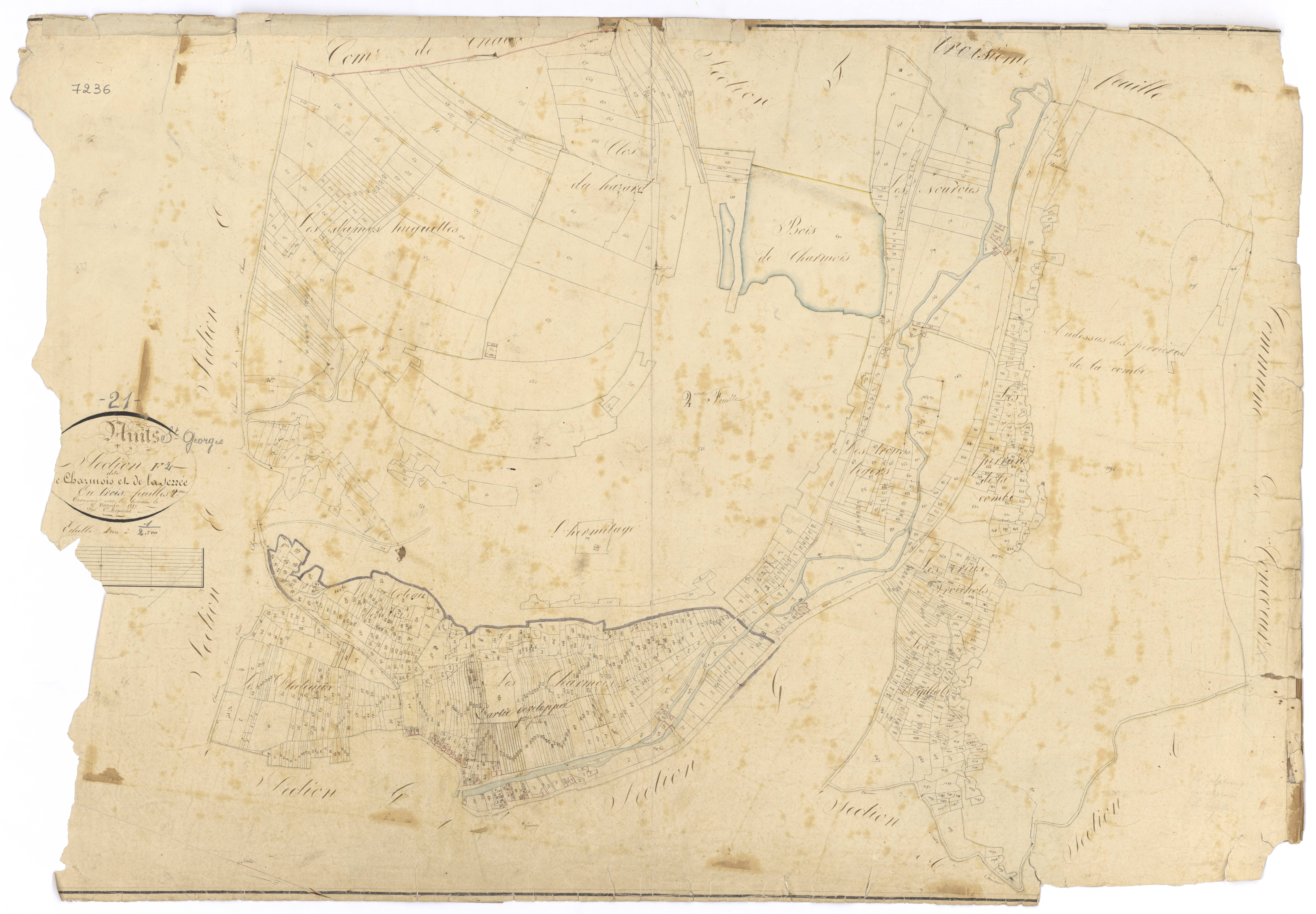 Nuits-Saint-Georges - Section F2 - 3 P PLAN 463/15