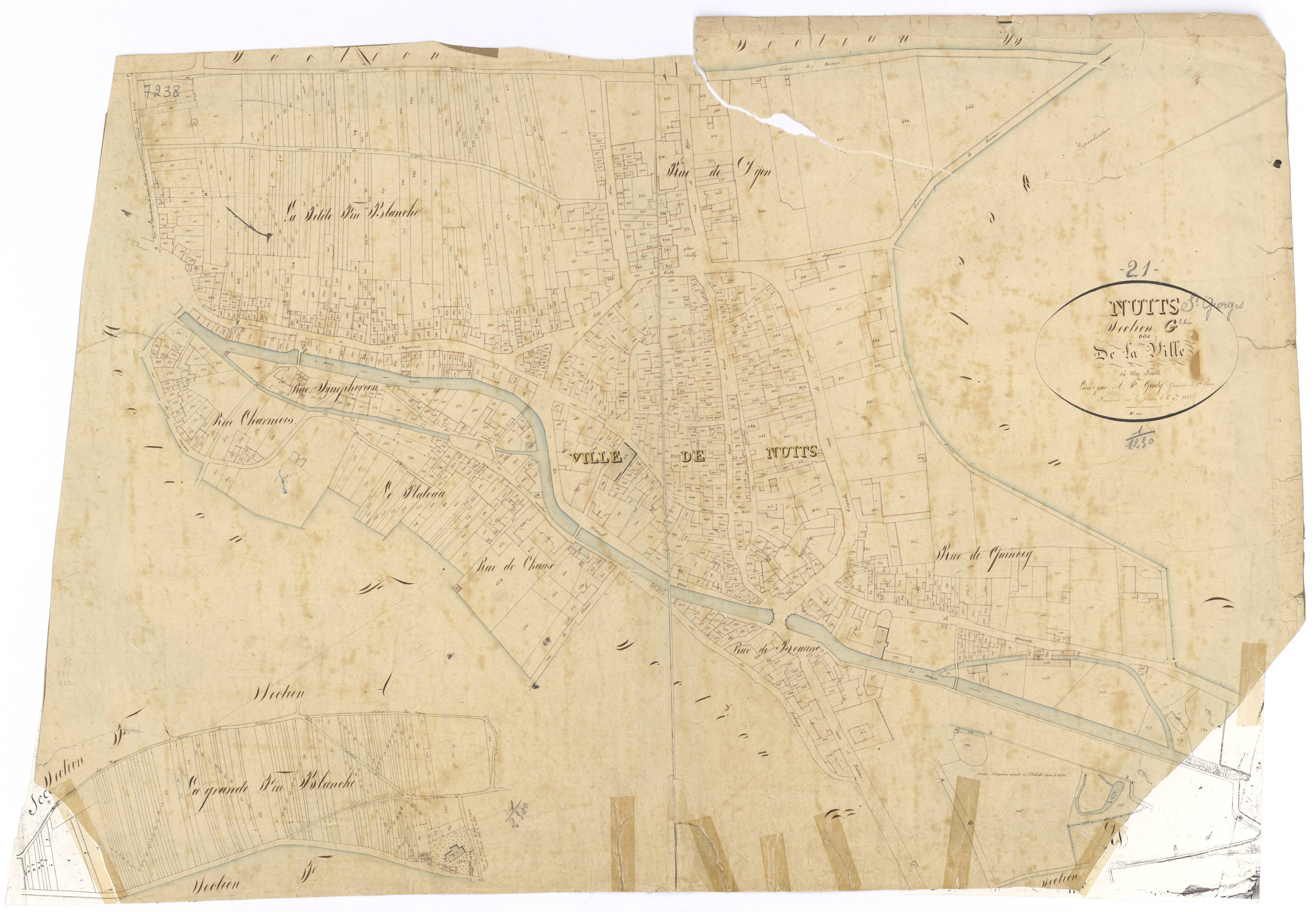 Nuits-Saint-Georges - Section G - 3 P PLAN 463/17
