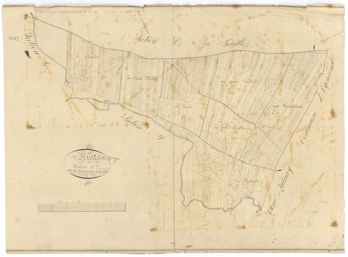 Nuits-Saint-Georges - Section C2 - 3 P PLAN 463/8