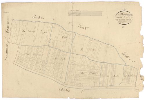 Nuits-Saint-Georges - Section E2 - 3 P PLAN 463/11