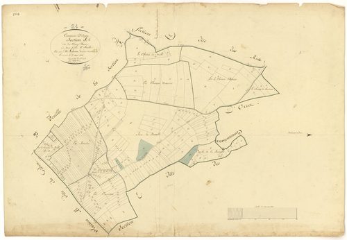 Oigny - Section F1 - 3 P PLAN 465/9