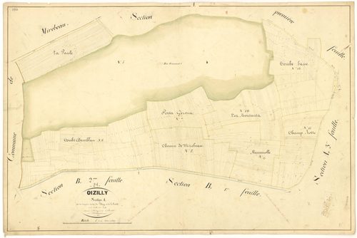 Oisilly - Section A2 - 3 P PLAN 466/4