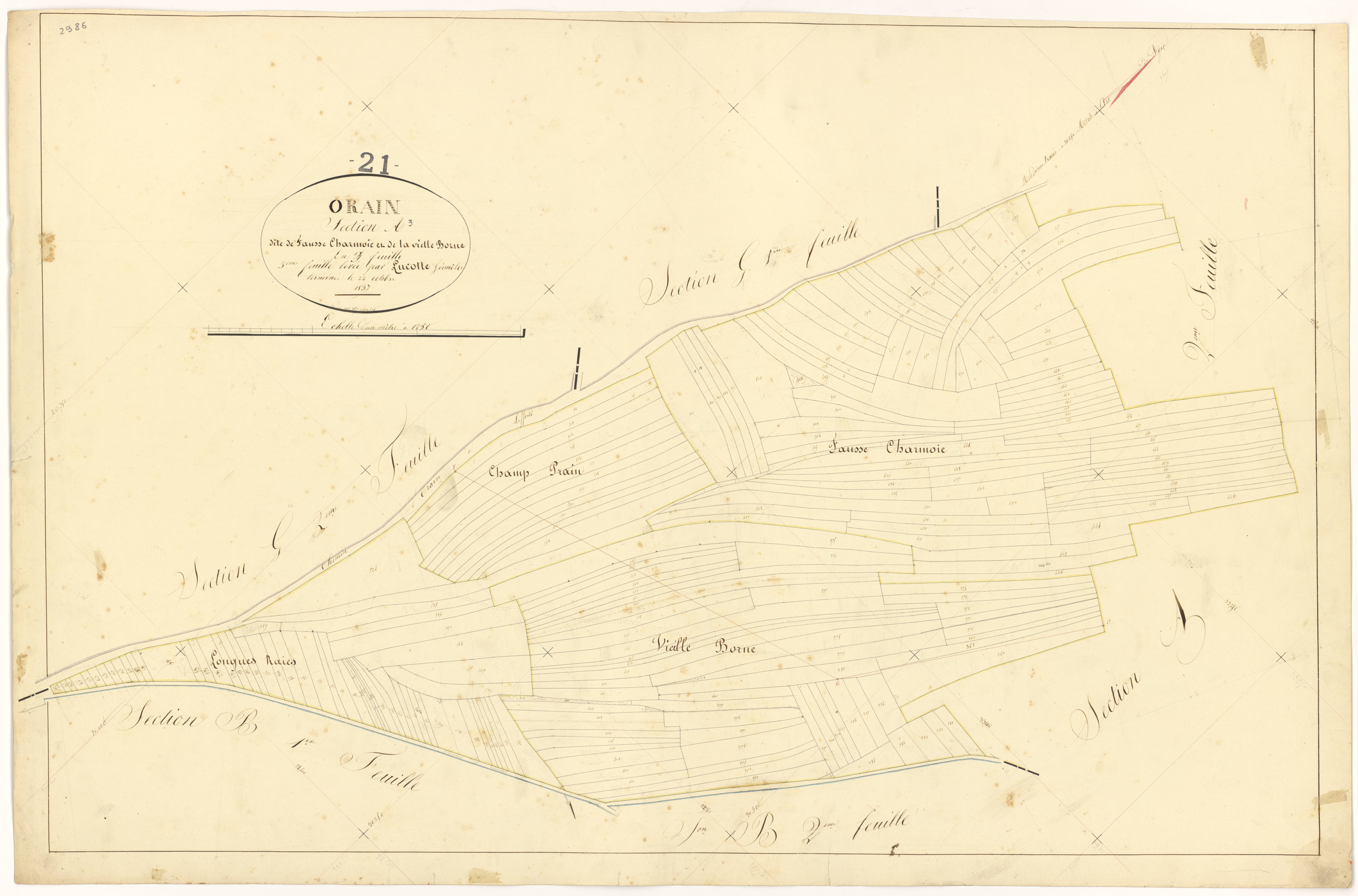 Orain - Section A3 - 3 P PLAN 467/4