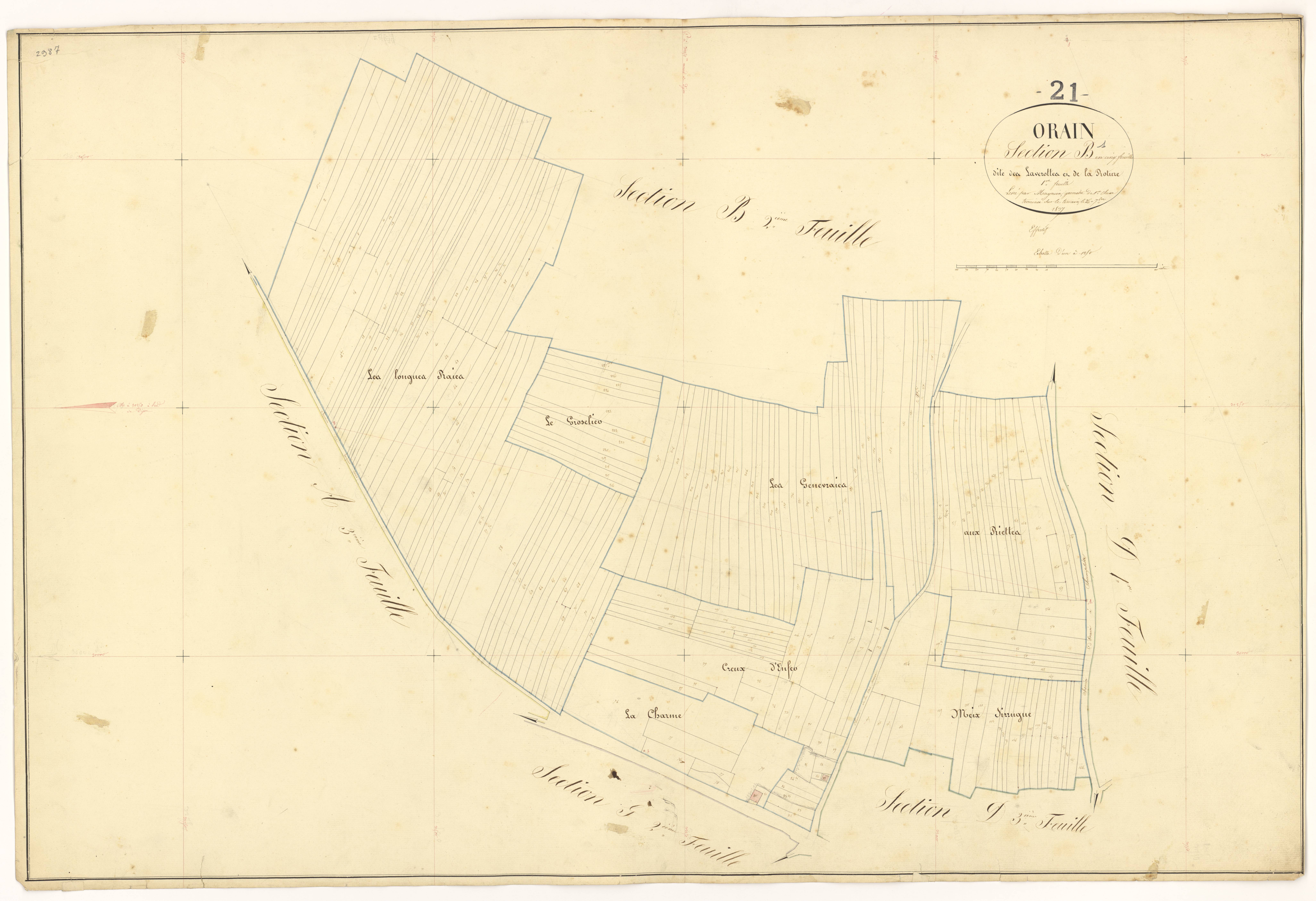Orain - Section B1 - 3 P PLAN 467/5
