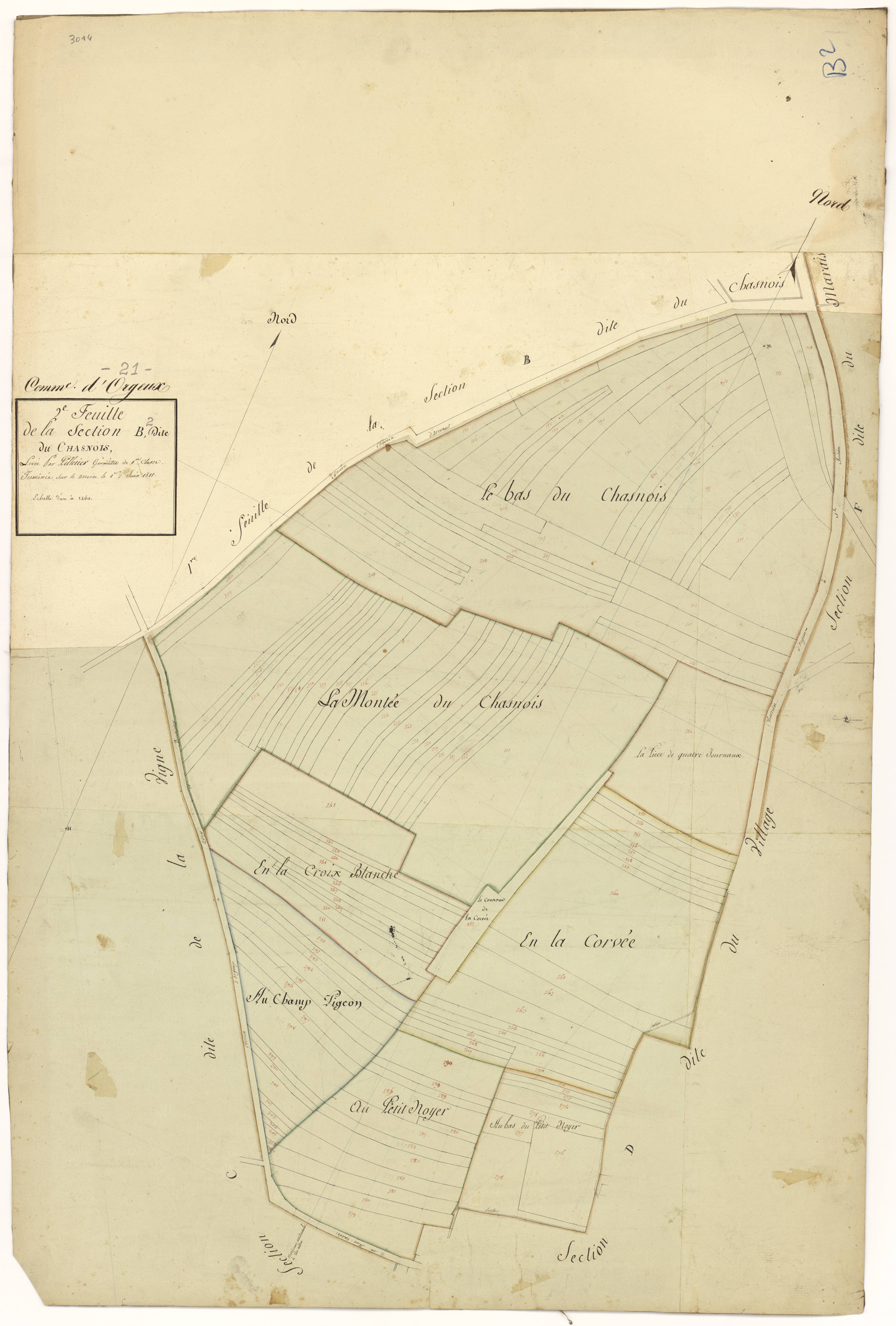Orgeux - Section B2 - 3 P PLAN 468/5