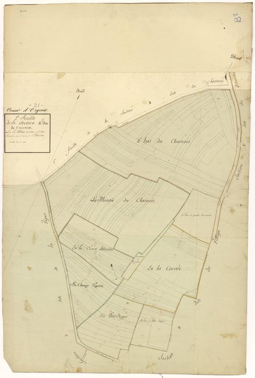 Orgeux - Section B2 - 3 P PLAN 468/5