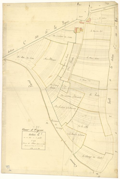 Orgeux - Section E1 - 3 P PLAN 468/8