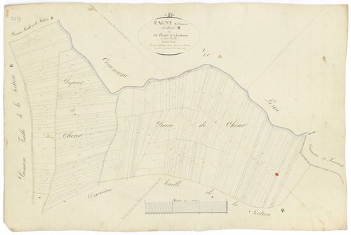 Pagny-le-Château - Section B3 - 3 P PLAN 474/5